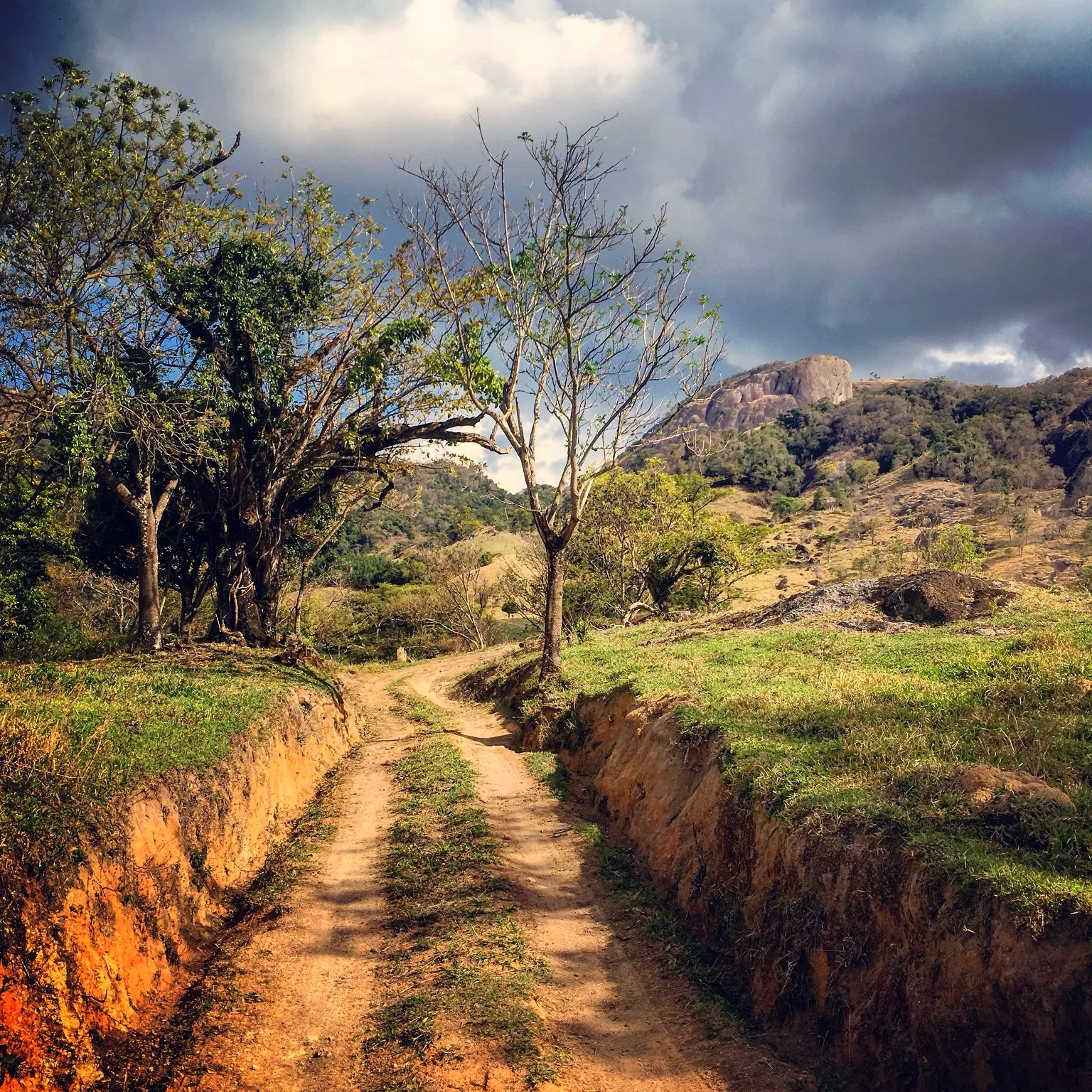 Trilha de acesso — Pedra do Elefante
